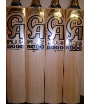 CA PLUS/TEST 5000 Cricket Bat