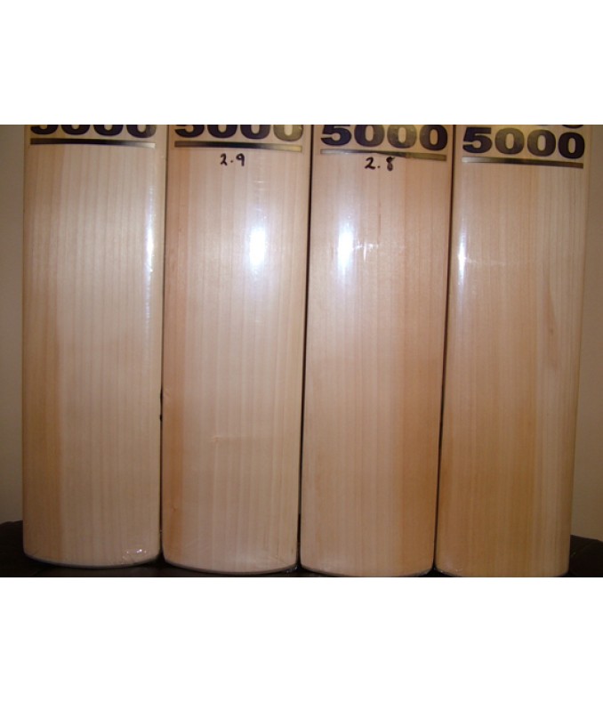 CA PLUS/TEST 5000 Cricket Bat
