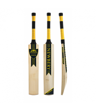 Newbery Invicta LE Cricket Bat