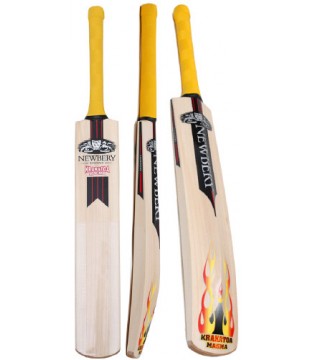 Newbery Krakatoa Magma Junior Handmade Cricket Bat (2017)