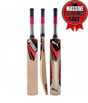 Puma evoSPEED 2 Junior Cricket Bat