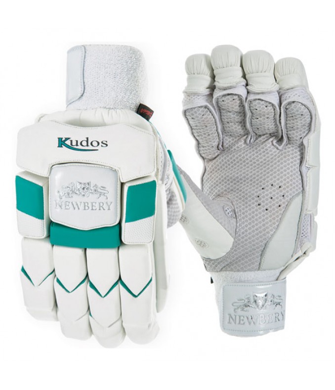 Newbery Kudos Junior Batting Gloves 